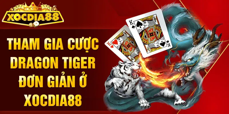 chơi live dragon tiger cách tham gia