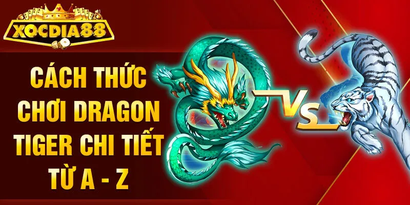 chơi live dragon tiger luật chơi