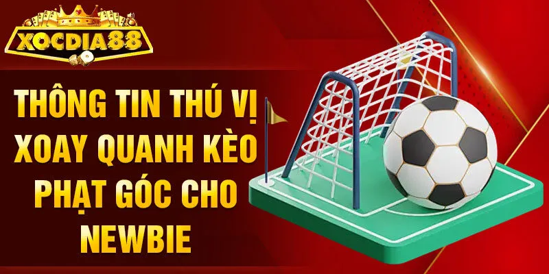 Thông tin thú vị xoay quanh kèo phạt góc cho newbie
