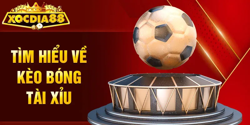 Tìm hiểu về kèo bóng Tài Xỉu